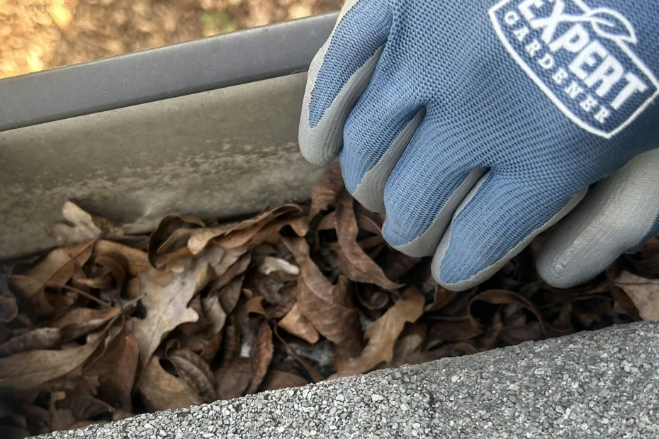 Gutter Cleaning Upper Marlboro